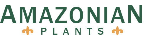 Amazonian Plants