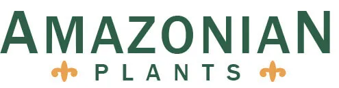 Amazonian Plants